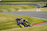 Middle Group Blue Bikes